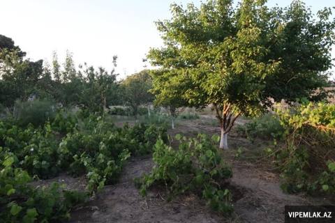 Sabunçu rayonunda 1 otaqlı Torpaq Satılır, 10 sot — Баку