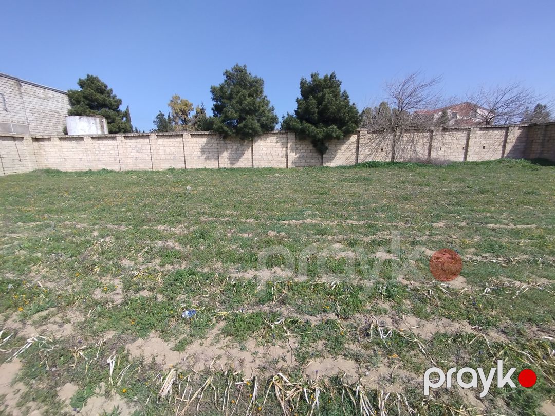 Satılır torpaq 33 sot — Torpaq, Bakı (7)