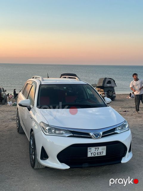 Toyota Corolla Fielder radiator barmaqlığı — Bakı