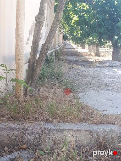 Satılır torpaq 50 sot — Torpaq, Bakı (5)