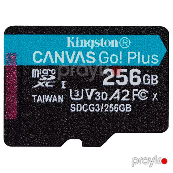 Kingston Canvas Go Plus microSD 256GB SDCG3/256GB-N Black — Mallar, Bakı (2)