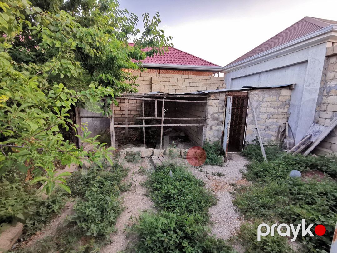 Satılır torpaq 6 sot — Torpaq, Şirvan (9)