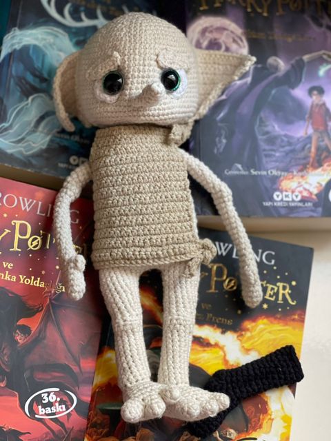 Dobby with his socks — Bakı