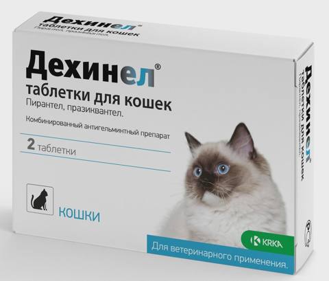 Dehinel, pişiklər üçün antihelmintik (1 tablet) — Pişiklər