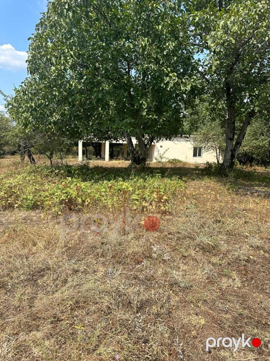 500 sot torpaq sahəsi, Vəndam k — Torpaq, Qəbələ (5)