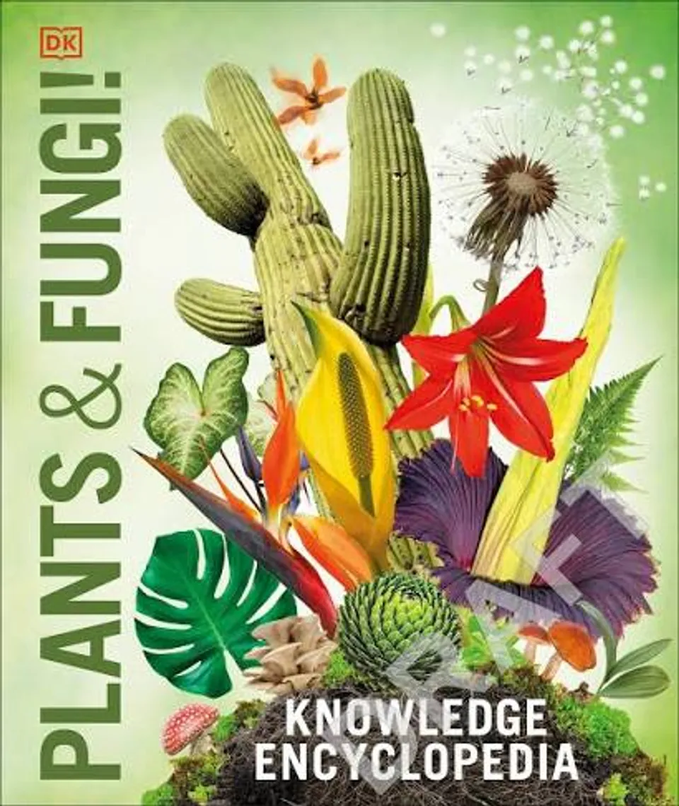Plants & Fungi - Knowledge Encyclopedia — Bakı