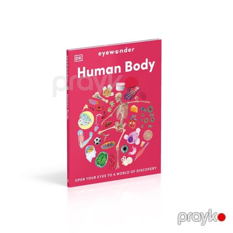 DK Eyewonder Human Body — Bakı