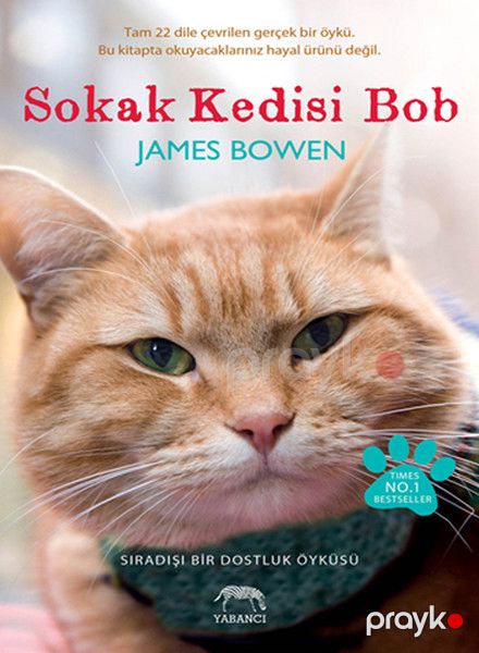 Sokak Kedisi Bob — Bakı