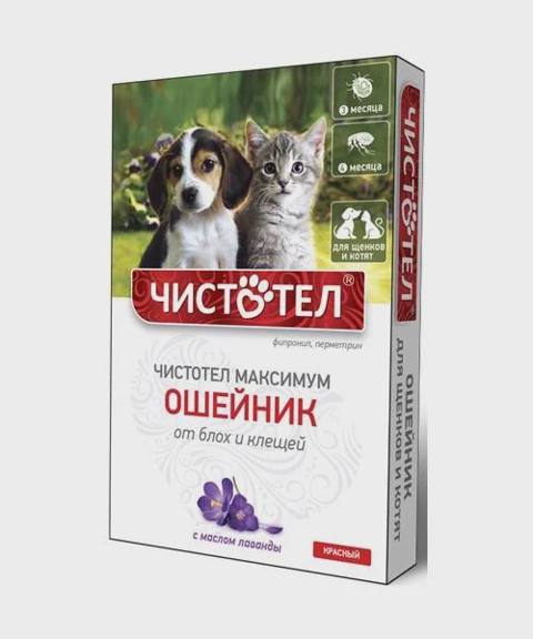 Çistotel Maksimum, bala itlər və pişik balaları üçün birə və gənələrə qarşı boyunbağı, lavanda ilə, qırmızı — Cats