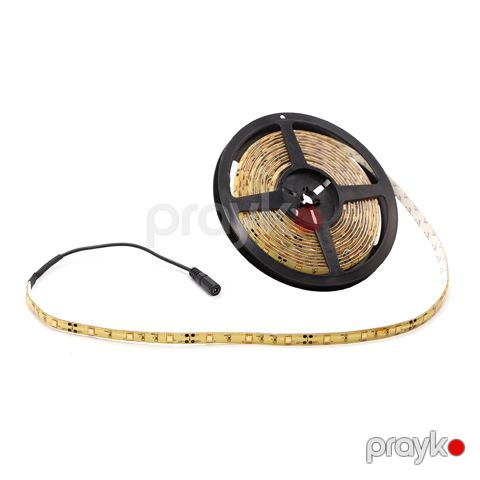 Gizli işıq LED oval 10*30 12V (1 top 5 m) mavi — Bakı