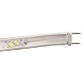 Sparkled gizli işıq qırmızı 5W 5730SMD 80LED LR2161 — Omid.az — Lighting