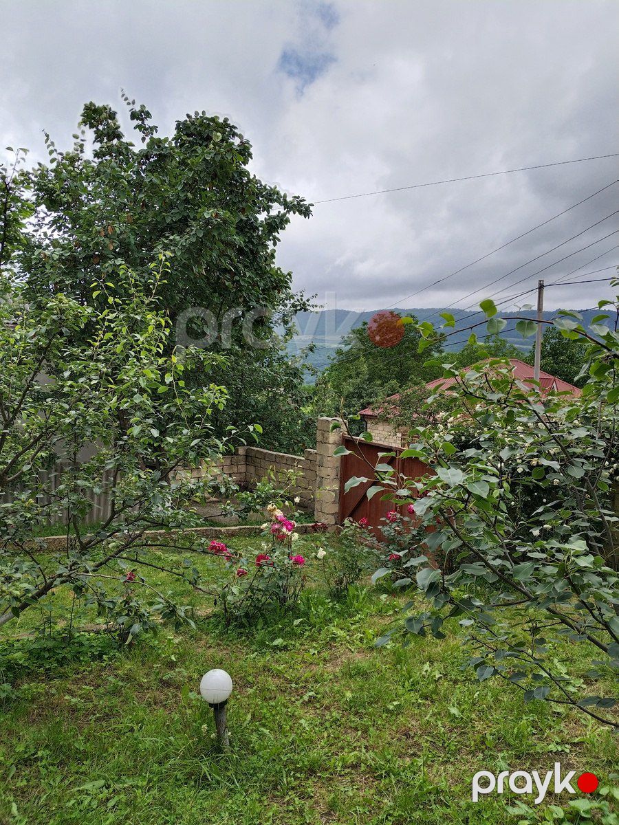 Bağ evi kirayə verilir, Quba r — Ev, villa, Quba (6)