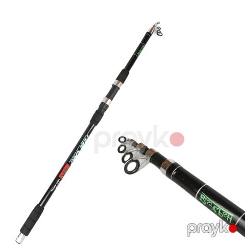Tilov ağacı Tele Carp, 3 m — Bakı