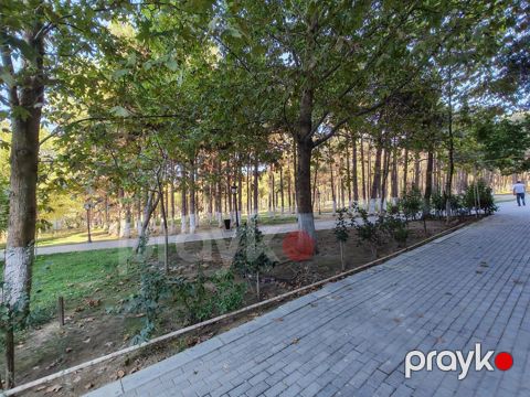 Obyekt icarəyə verilir, Xırdalan ş — Bakı