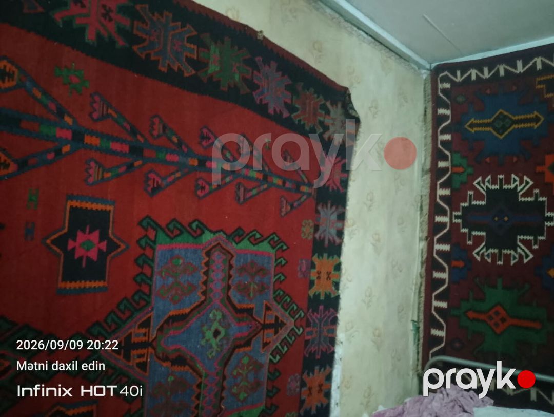Yun kilim — Xalılar və xalı yolları, Bakı (2)