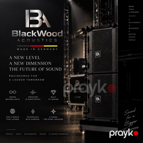 BlackWood Acoustics Line Array — Bakı