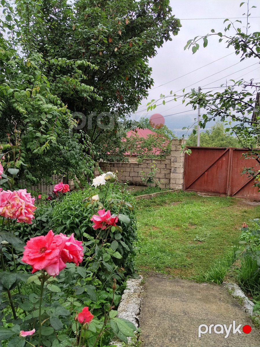 Bağ evi kirayə verilir, Quba r — Ev, villa, Quba (9)
