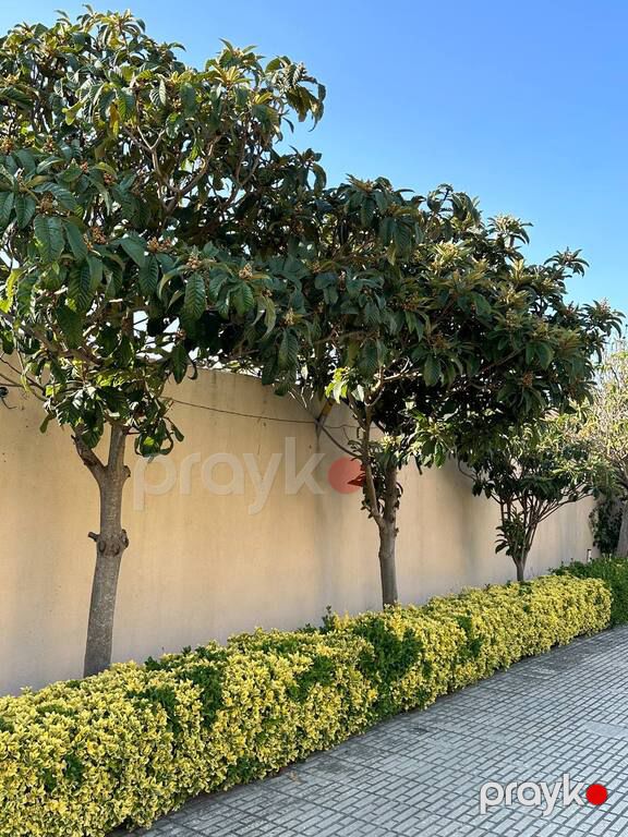 Satılır 10 otaqlı həyət evi/bağ evi 800 m² — Ev, villa, Bakı (2)