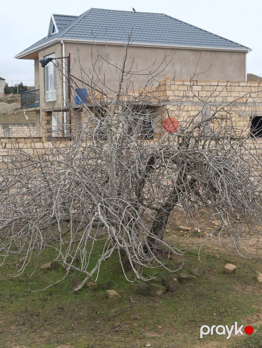 Satılır torpaq 5 sot — Torpaq, Bakı (8)