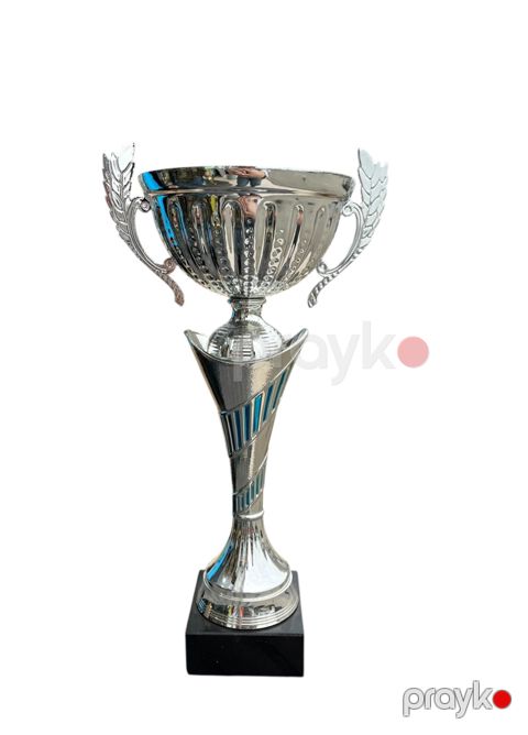 Kubok, metal, gümüşü, 35 sm — Bakı