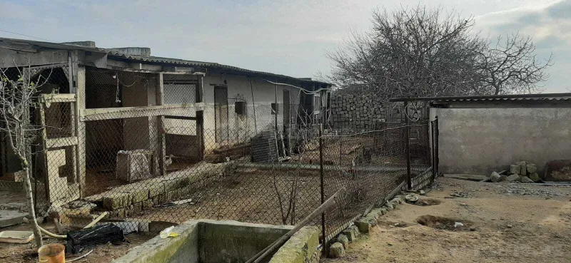 Satılır 5 otaqlı Həyət evi 200 m² Bakı, Xəzər r., Türkan — Ev, villa, Bakı (5)