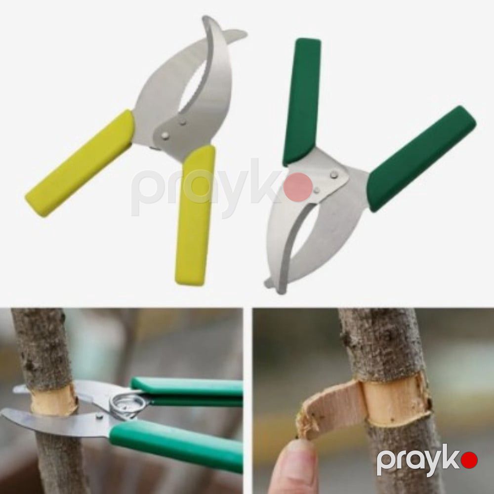 Bağban qayçısı - prm_018 — Mallar, Bakı (2)