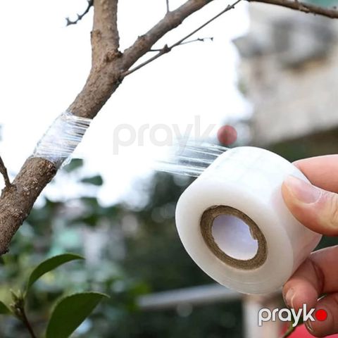 Bağ üçün calaq lent 1 düym x 300 metr, bioloji parçalana bilən, özünü aşılayan şəffaf film Meyvə, çiçək, ağac və bitkilər üçün - prm1_34 — Bakı