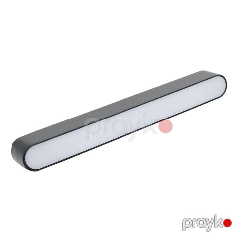Ray spotu TL3006C-12WDC48-FLR12-G1 sparkled 12W 4000K maqnitli — Bakı