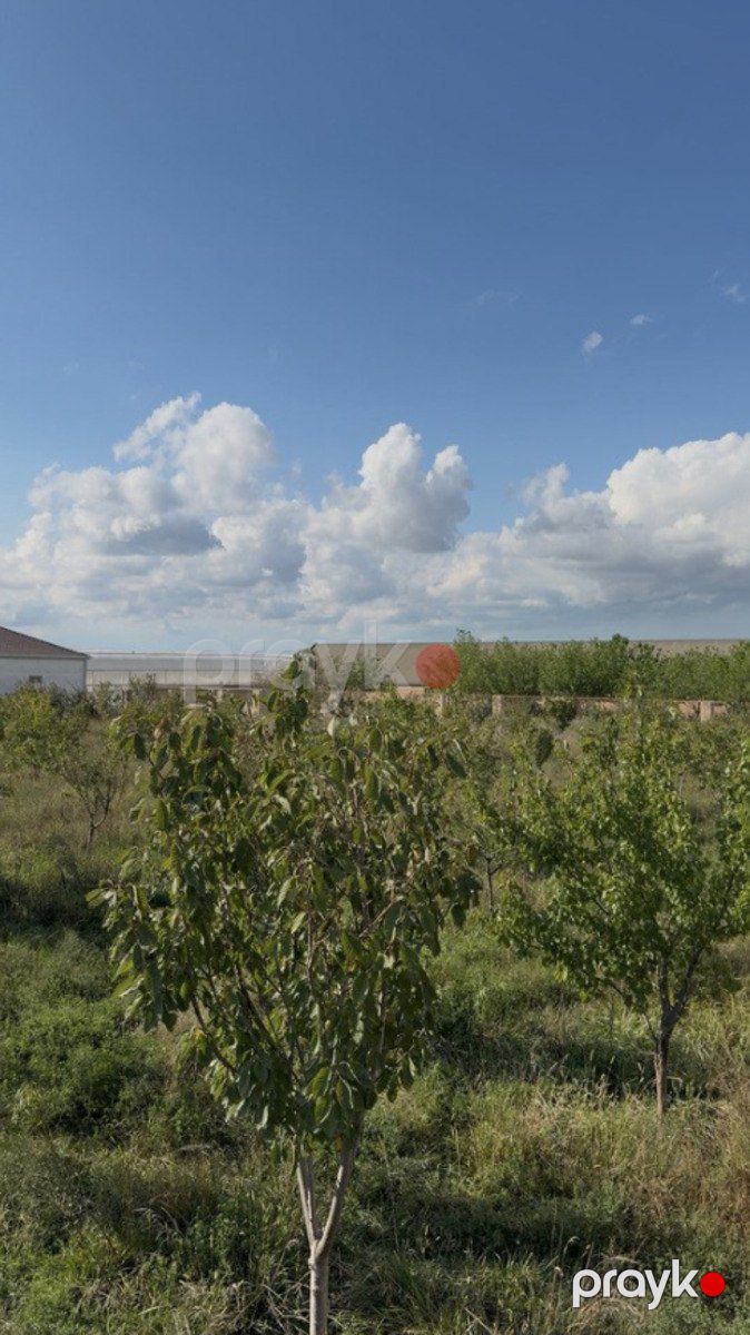 Satılır obyekt 400000 m² — Əmlak, Bakı (9)
