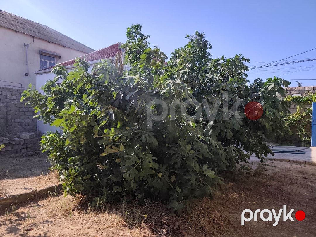 Satılır 50 kv 2 otaqlı mənzil, Həyət evi — Ev, villa, Bakı (3)