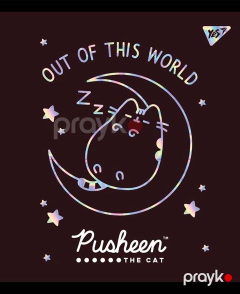 Dəftər 48v# Pusheen fabulous 765276 YES — Bakı