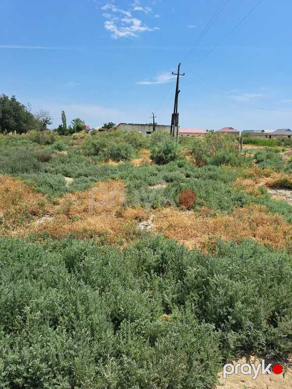 Satılır torpaq 100 sot — Torpaq, Bakı (2)