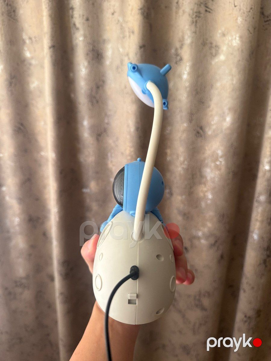 Masaüstü lampa — İşıqlandırma, Bakı (3)