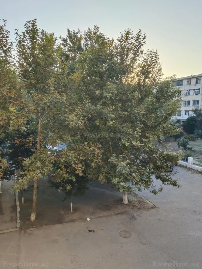 Kirayə verilir 3 otaqlı Mənzil Köhnə tikili 90 m² Bakı, Nizami r., Xalqlar Dostluğu m — Mənzil, Bakı (8)