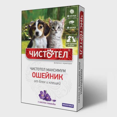 Çistotel Maksimum, bala itlər və pişik balaları üçün birə və gənələrə qarşı boyunbağı, lavanda ilə, bənövşəyi — Cats
