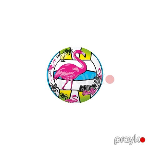 İdman oyuncağı Star Toys Mini Volley, flaminqo/tukan/unikorn/qaquş, 11 sm — Bakı