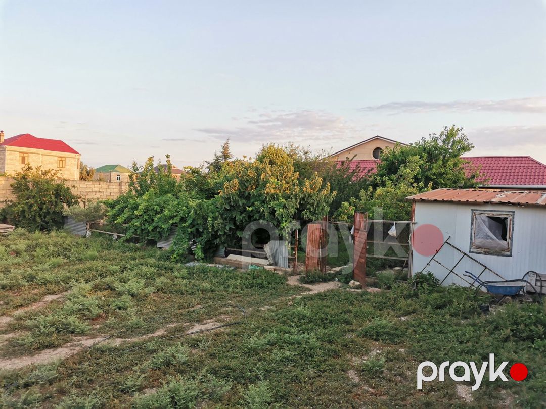 Satılır torpaq 6 sot — Torpaq, Şirvan (5)