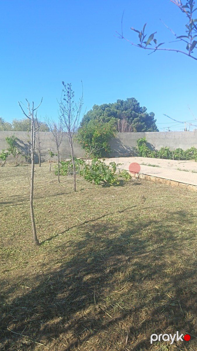 Satılır torpaq 4 sot — Torpaq, Bakı (2)