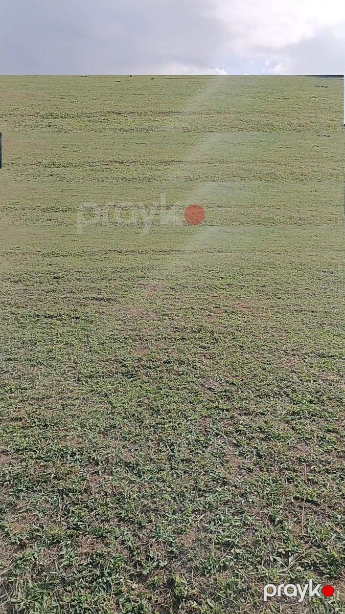 Satılır torpaq 344 sot — Torpaq, Şamaxı (2)