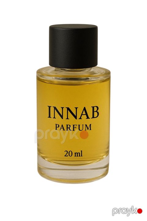 İnnab Parfum Elysıum Pour Homme Delux yağlı ətir kişilər üçün 20 ml — Bakı