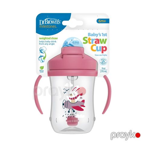 Uşaq üçün borucuqlu su qabı-fincan Dr.Brown's Milestones TC91011-İNTL, 270 ml — Bakı