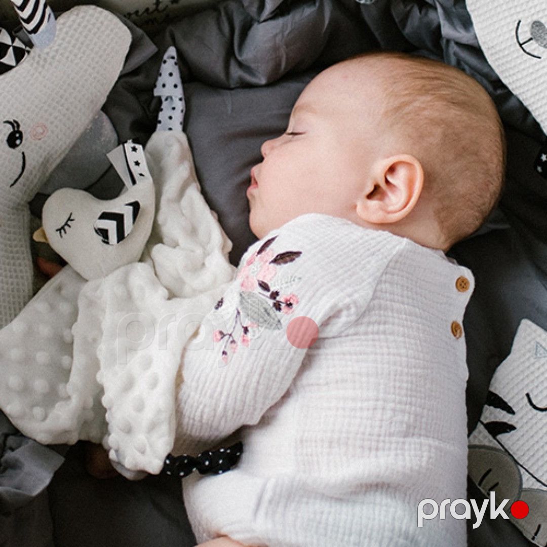 Qucaqlamaq oyuncağı Babyono Little Birdie (1537), 0+ ay, poliester, rəngbərəng — Mallar, Bakı (2)