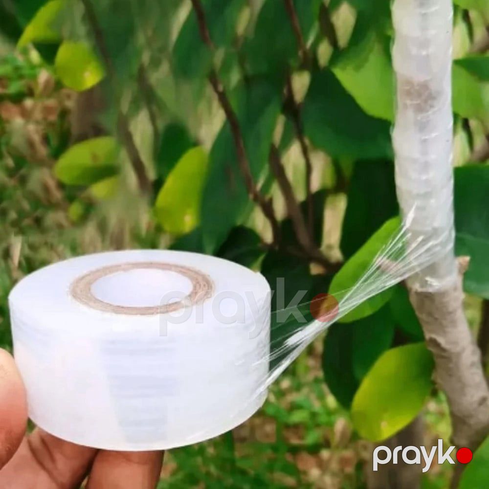 Bağ üçün calaq lent 1 düym x 300 metr, bioloji parçalana bilən, özünü aşılayan şəffaf film Meyvə, çiçək, ağac və bitkilər üçün - prm1_34 — Mallar, Bakı (2)