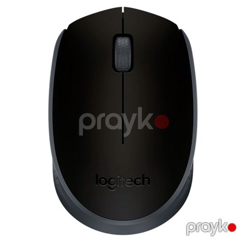 Logitech Wireless Mouse M171 Black — Bakı