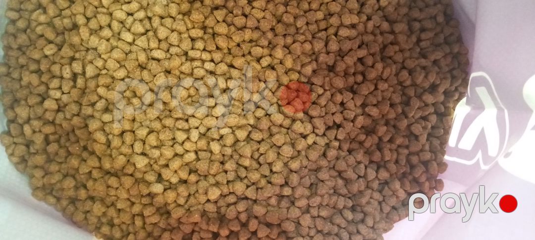 Quru yem Winny yetkin pişiklər üçün, toyuq əti ilə, 10 kq — Mallar, Bakı (2)