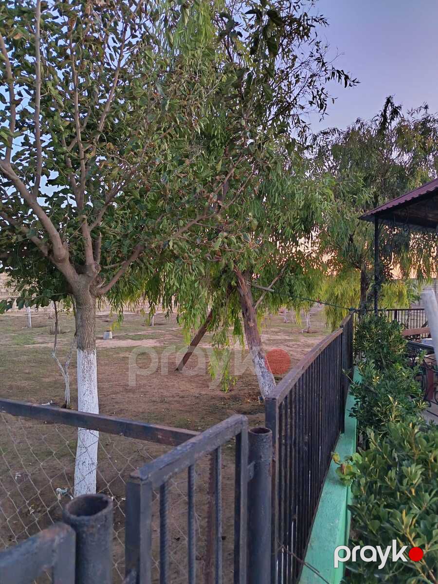 Satılır 5 otaqlı həyət evi/bağ evi 230 m² — Ev, villa, Bakı (5)
