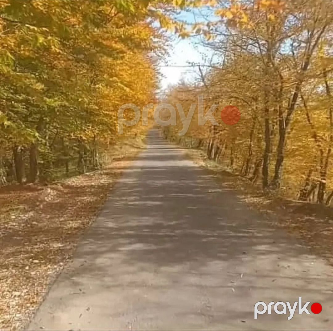 Həyət evi, Quba r — Ev, villa, Quba (5)