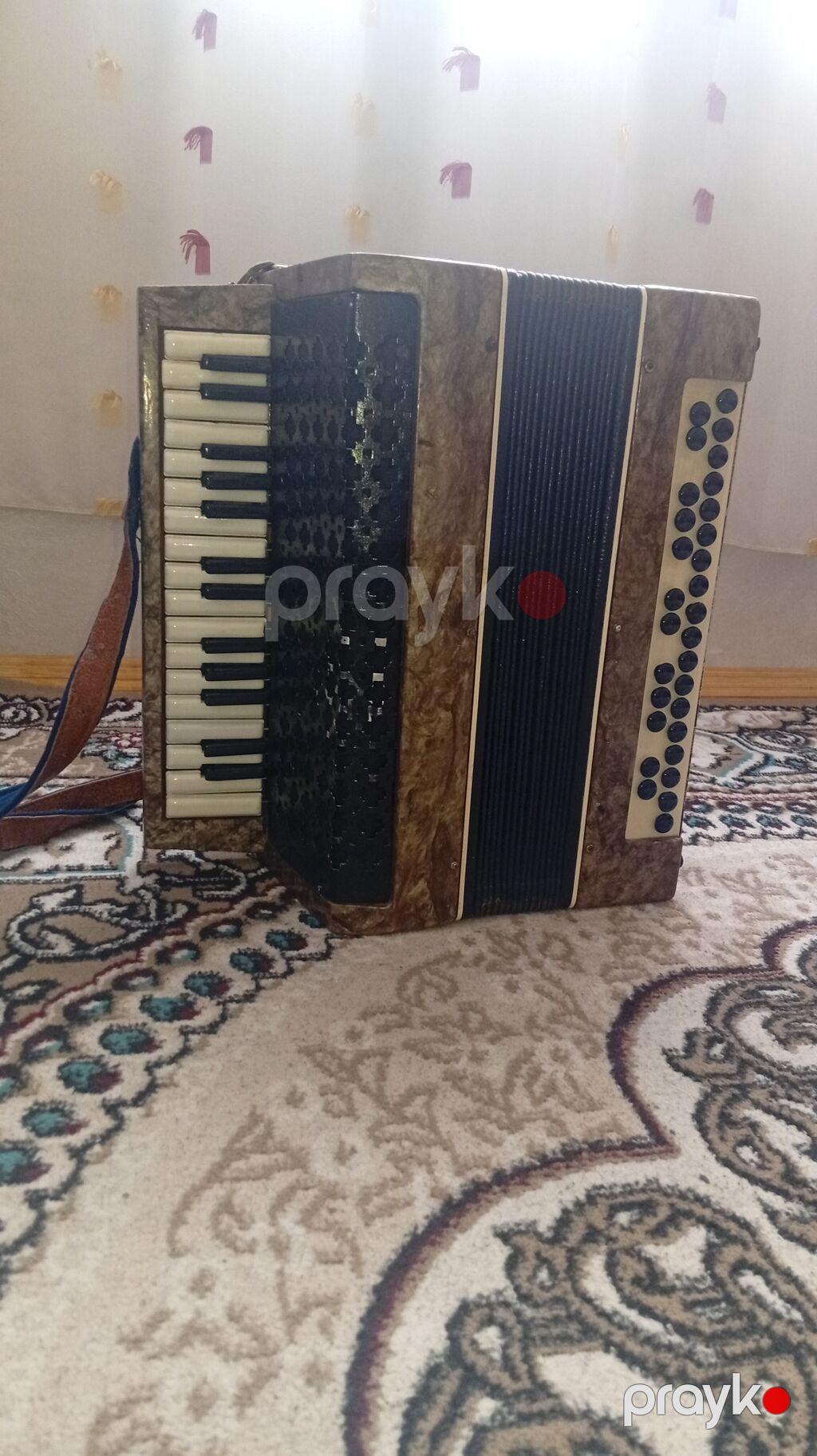 Akustik Akkordeon, İşlənmiş — Akkordeonlar, harmonilar, bayanlar, Bakı (2)