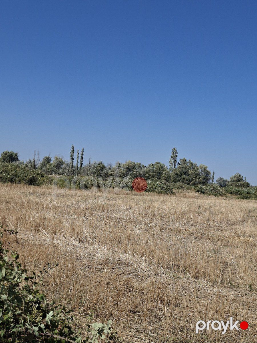 Satılır torpaq 160 sot — Torpaq, Şabran (4)