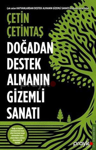 Doğadan Destek Almanın Gizemli Sanatı — Bakı
